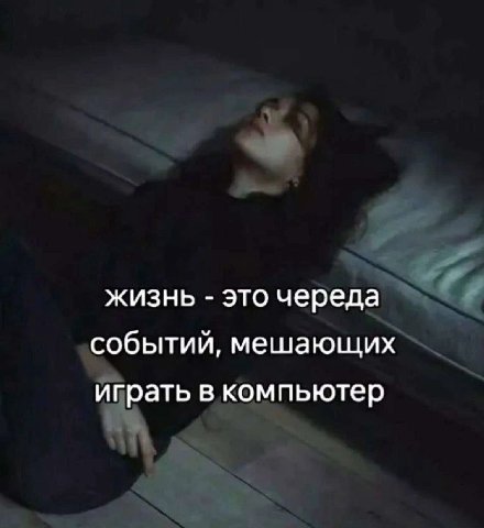 жизнь это череда событий, мешающих играть в компьютер