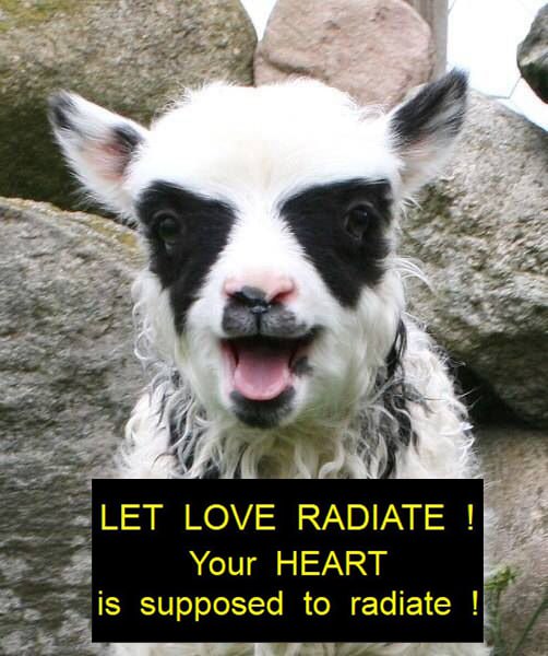 LET LOVE RADIATE Your HEART is supposed to radiate