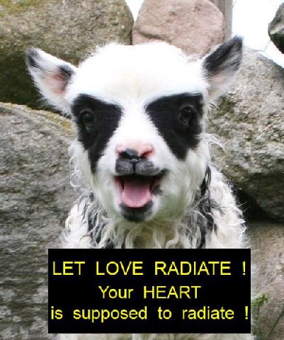 LET LOVE RADIATE Your HEART is supposed to radiate