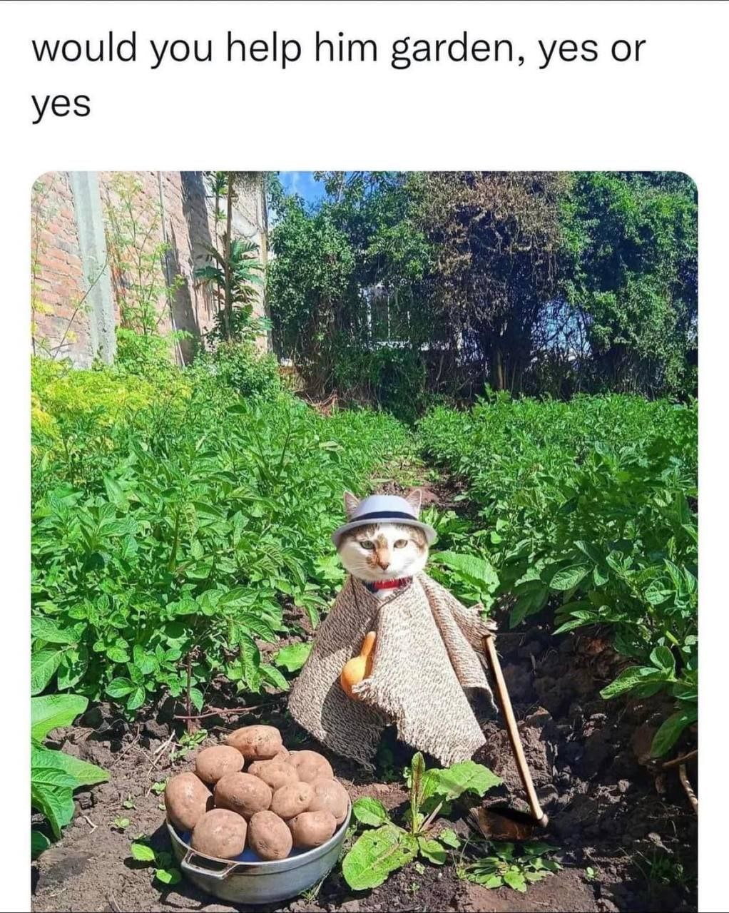 would you help him garden, yes yes a Ney 4 у у a 4 я