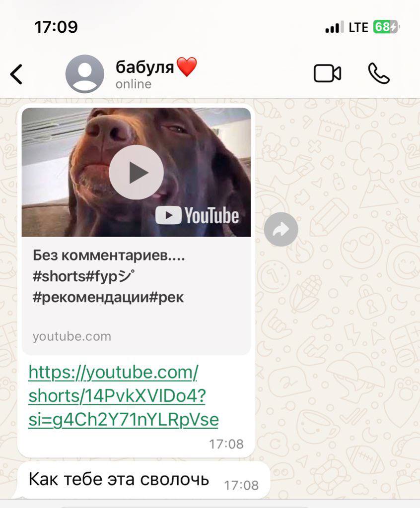 17:09 oot! LTE 6abyna online Без комментариев #рекомендации#рек youtube.com https://youtube.com/ 17:08 Как тебе эта сволочь 17:08