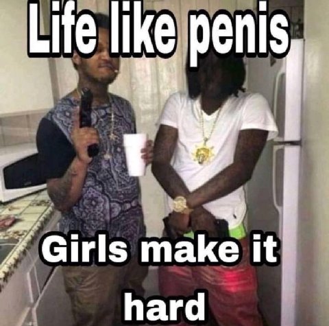 Life like penis, Girls make it hard