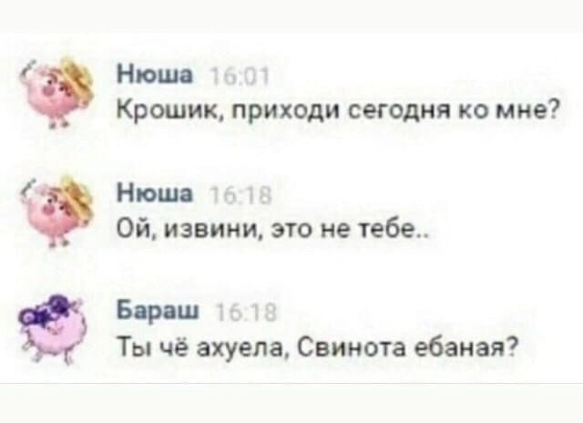 Нюша Крошик, приходи сегодня мне? Нюша извини, это не тебе.. Бараш Ты чё ахуела, Свинота ебаная?