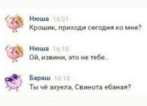 Нюша Крошик, приходи сегодня мне? Нюша извини, это не тебе.. Бараш Ты чё ахуела, Свинота ебаная?