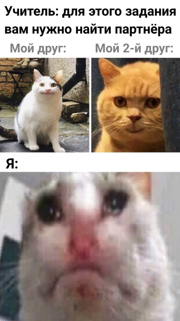 Учитель: для этого задания вам нужно найти партнёра Мой 2-и друг: Мой Я: