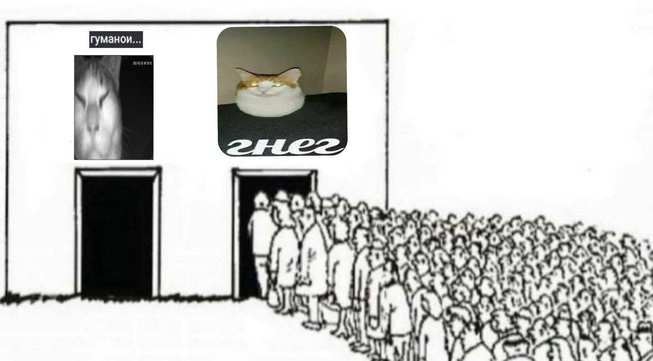 i 7