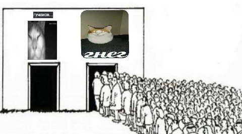 i 7