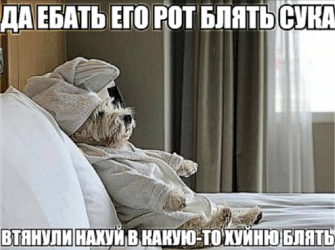 ДА ЕБАТЬ ЕГО РОТ БЛЯТЬ СУКА Mak ТЯНУЛИ НАХУЙ В. КАКУЮ-ТО: БЛЯТЬ