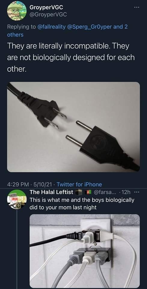 GroyperVGC @GroyperVGC Replying to @fallreality @Sperg_GrOyper and 2 others They are literally incompatible. They are not biologically designed for each other. 4:29 5/10/21 Twitter for iPhone The Hala