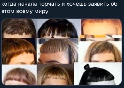когда начала торчать и хочешь заявить об этом всему миру