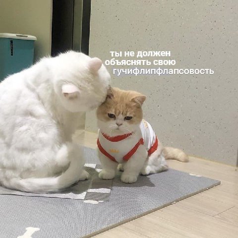 ты He должен объяснять свою гучифлипфлапсовость