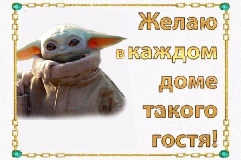 led У такого ГОСТЯ!