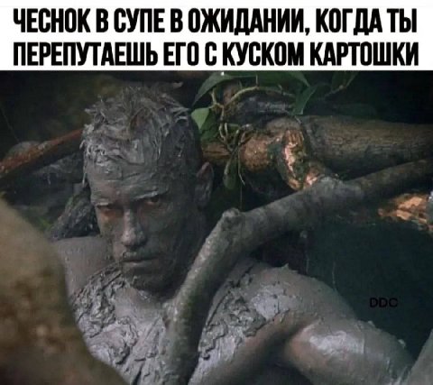 ЧЕСНОК В СУПЕ В ОЖИДАНИИ, КОГДА ТЫ ПЕРЕПУТАЕШЬ ЕГО С КУСКОМ КАРТОШКИ