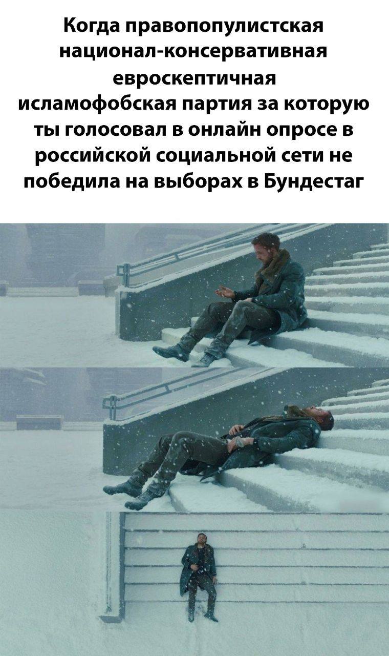 Когда правопопулистская национал-консервативная евроскептичная исламофобская партия за которую ты голосовал в онлайн опросе в российской социальной сети не победила на выборах в Бундестаг у
