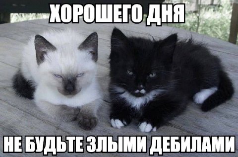 НЕБУДЬТЕ ЗЛЫМИ ДЕБИЛАМИ