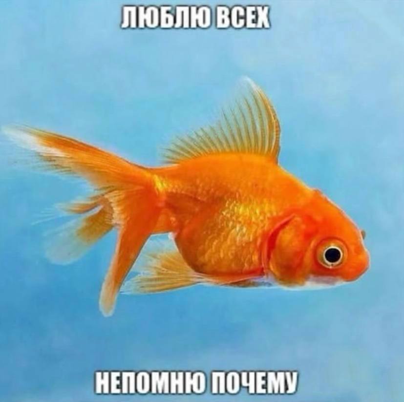 ЛЮБЛЮ ВСЕХ НЕПОМНЮ ПОЧЕМУ