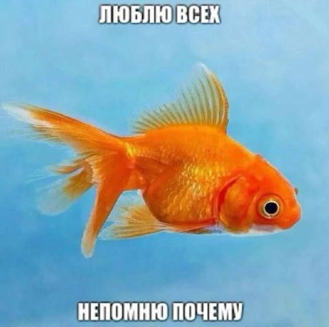 ЛЮБЛЮ ВСЕХ НЕПОМНЮ ПОЧЕМУ