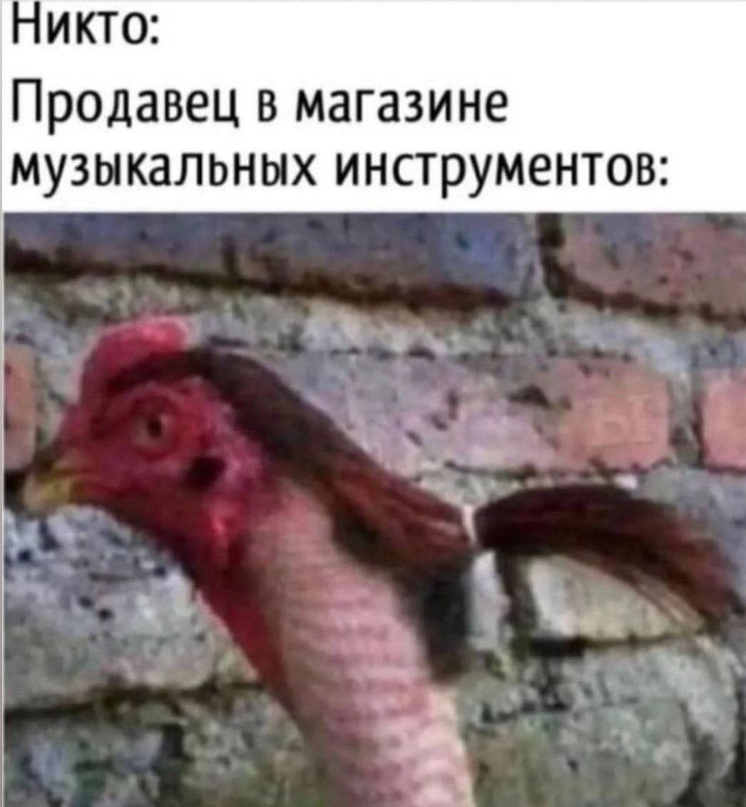 ИКТО: Продавец в магазине музыкальных инструментов: