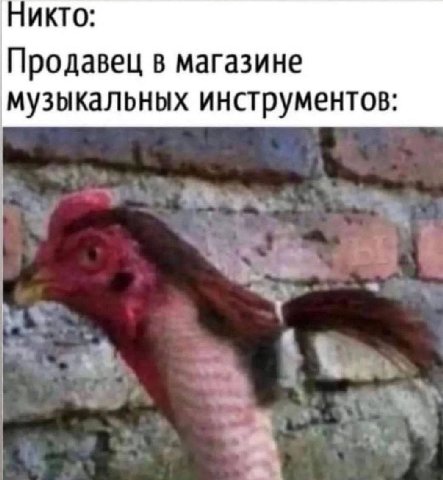 ИКТО: Продавец в магазине музыкальных инструментов:
