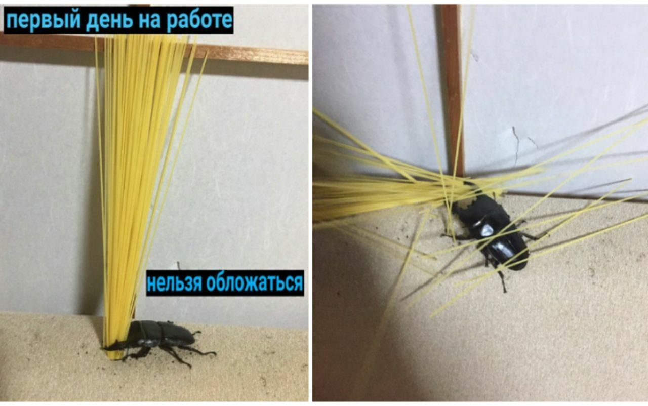 первый день на работе