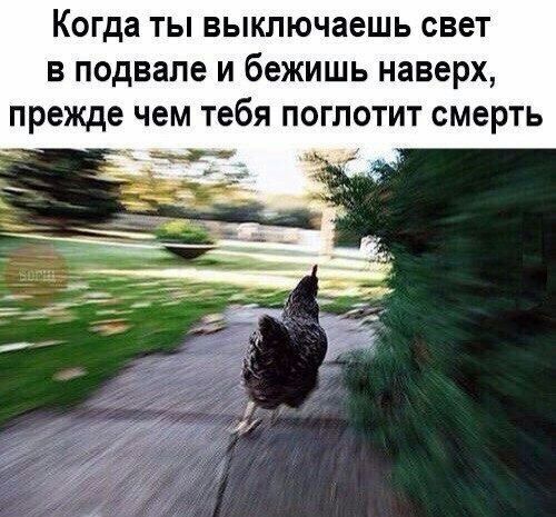 Когда ты выключаешь свет в подвале и бежишь наверх, прежде чем тебя поглотит смерть