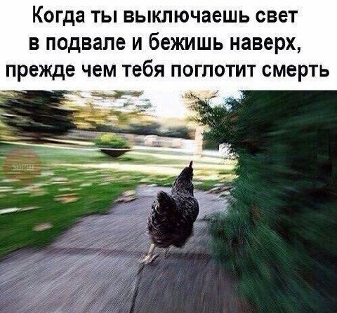 Когда ты выключаешь свет в подвале и бежишь наверх, прежде чем тебя поглотит смерть