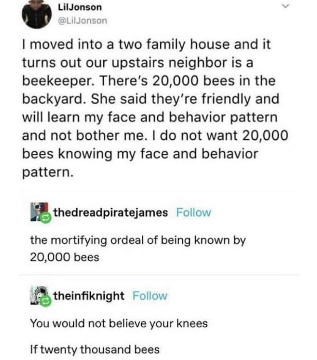 LilJonson moved into а two family house and it turns out our upstairs neighbor is a beekeeper. 20,000 bees in the backyard. She said they're friendly and will learn my face and behavior pattern and no