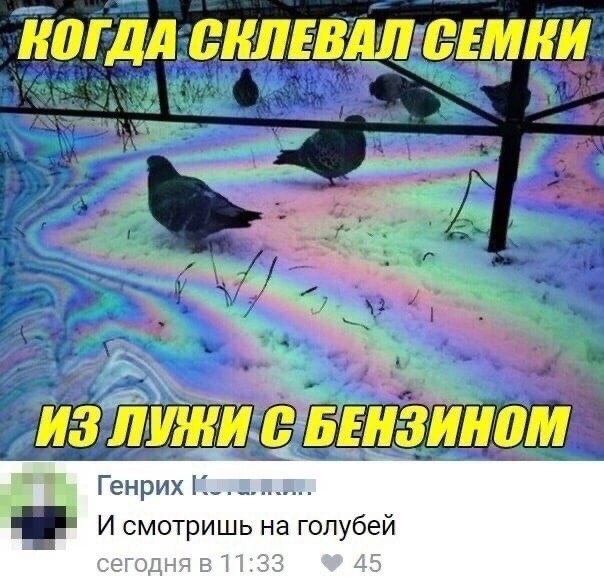 КОГДА СЕЛЕВАЛ СЕМЕИ ИЗ ЛУЖИ С БЕНЗИНОМ Генрих сегодня в 11:33 45 И смотришь на голубей