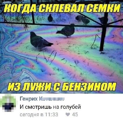 КОГДА СЕЛЕВАЛ СЕМЕИ ИЗ ЛУЖИ С БЕНЗИНОМ Генрих сегодня в 11:33 45 И смотришь на голубей
