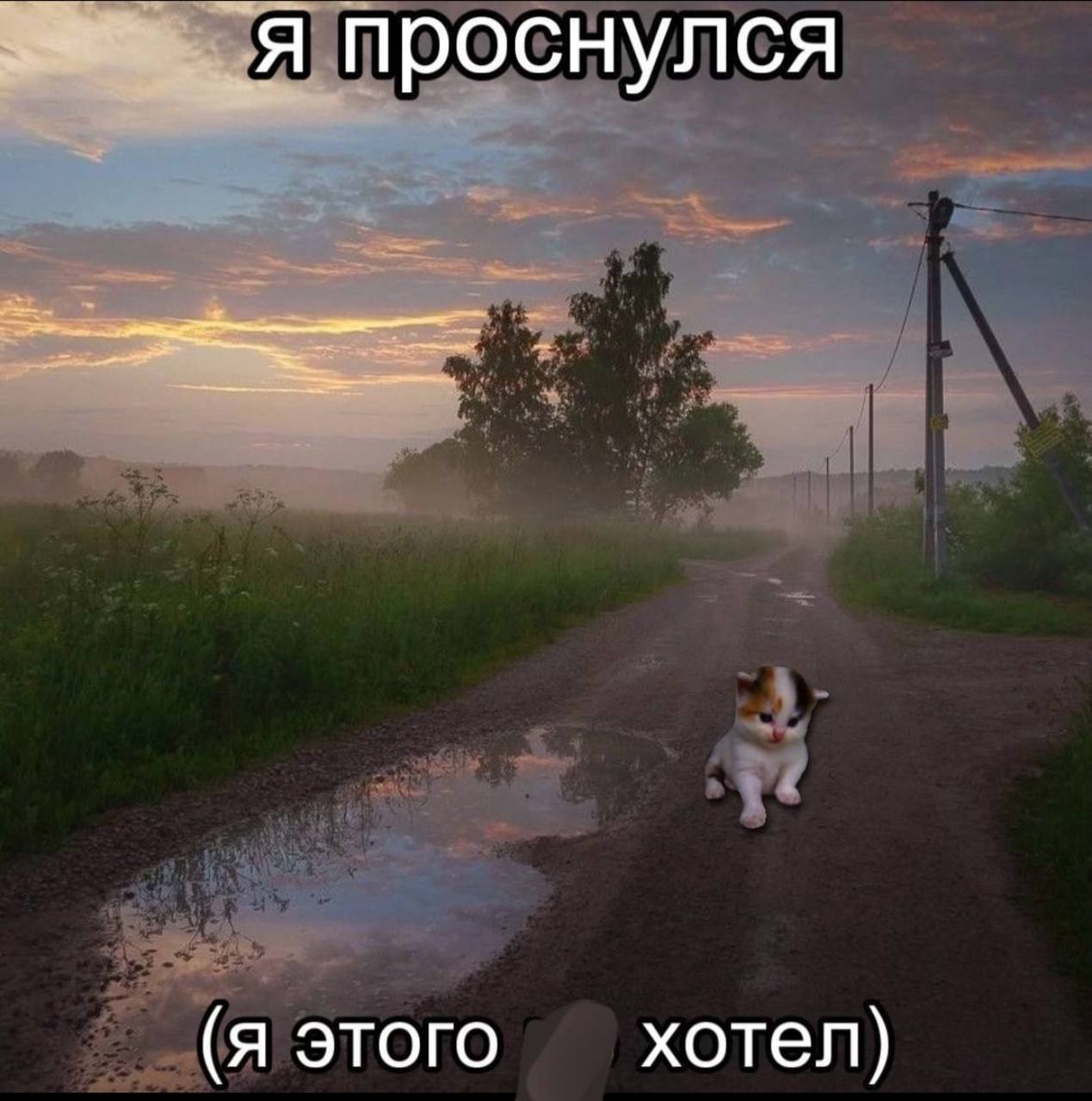 я проснулся (я этого хотел)