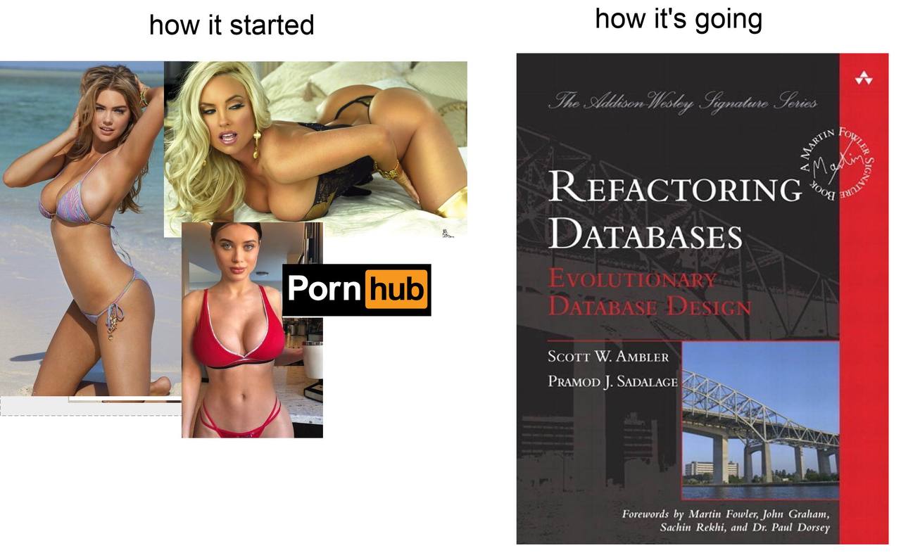 how it started how it's going А а и NAG 2 REFACTORING DATABASES AT AS AMBLER SADALAGE 5 Forewords Martin Fowler, John Graham, Sachin Rekhi, and Paul Dorsey