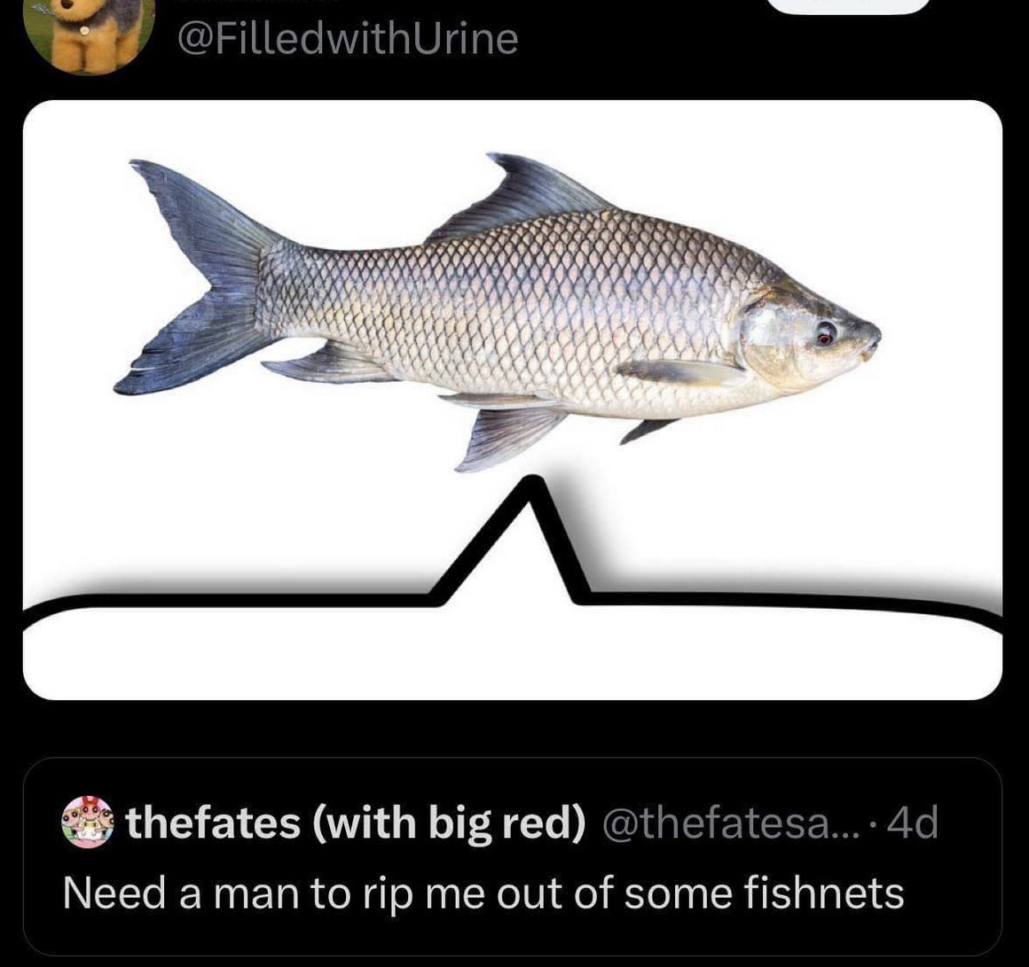 ®FilledwithUrine thefates (with big red) @thefatesa...- 4‹ Need a man to rip me out of some fishnets
