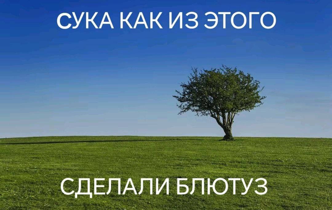 СУКА КАК ИЗ ЭТОГО СДЕЛАЛИ БЛЮТУЗ
