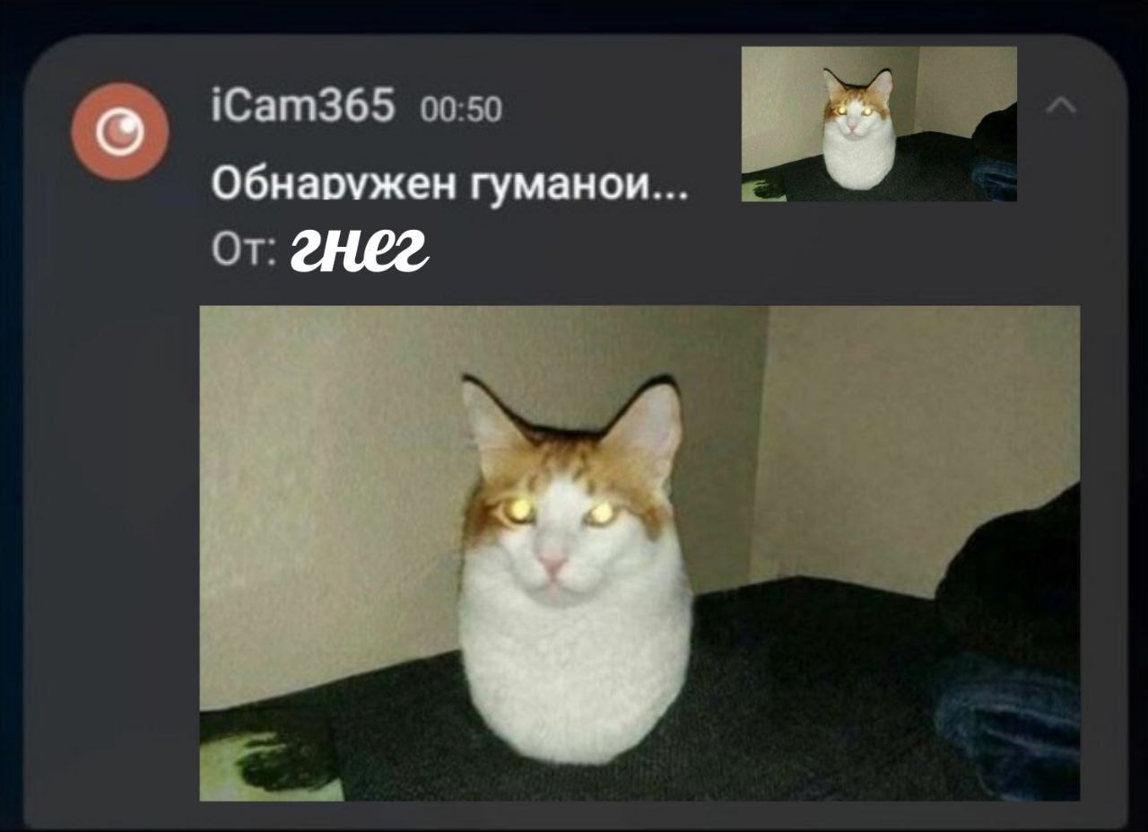 iCam365 Обнаружен гуманои.. от гнег