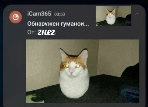 iCam365 Обнаружен гуманои.. от гнег