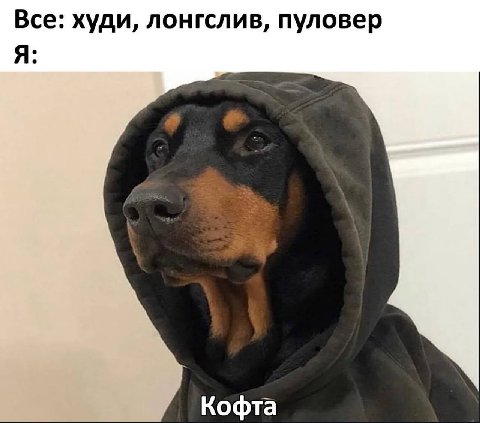 Все: худи, лонгслив, пуловер Я Кофта