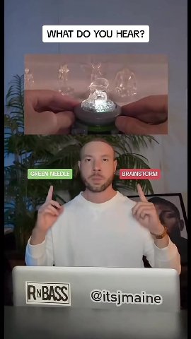 (GREEN NEEDLE] р ы $ BRAINSTORM RvBASS) @itsjmaine)