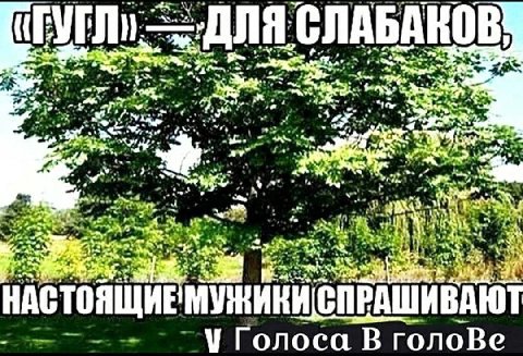 CHABAKOB вы ‘a at НАСТОЯЩИЕ МУЖИКИ Голоса В голоВе