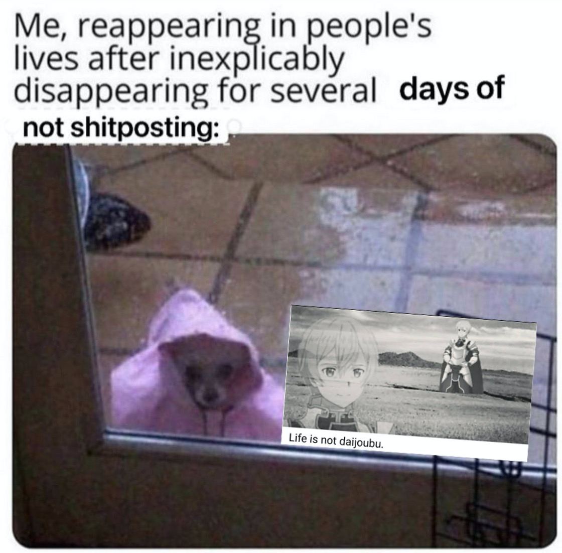 reappearing in people's lives after inexplicably disappearing for several days of not shitposting: