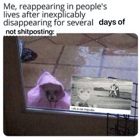 reappearing in people's lives after inexplicably disappearing for several days of not shitposting: