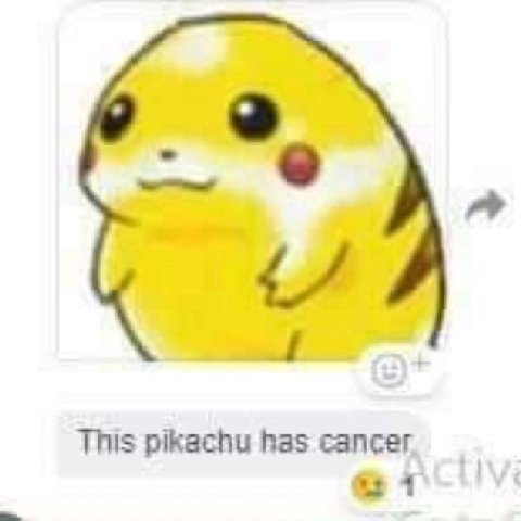 bro
