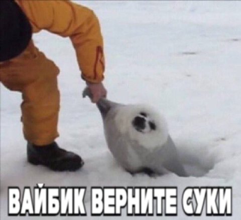 ВЕРНИТЕ