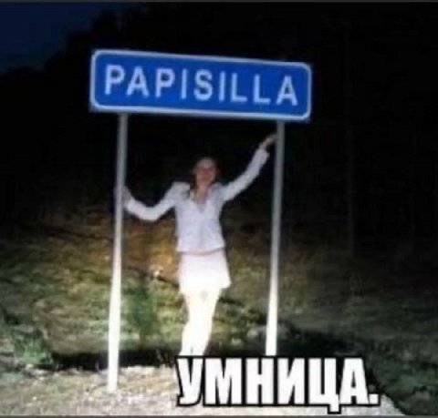УМНИЦА