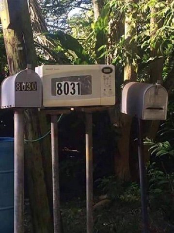 2 у or у я 8031 1 4 у