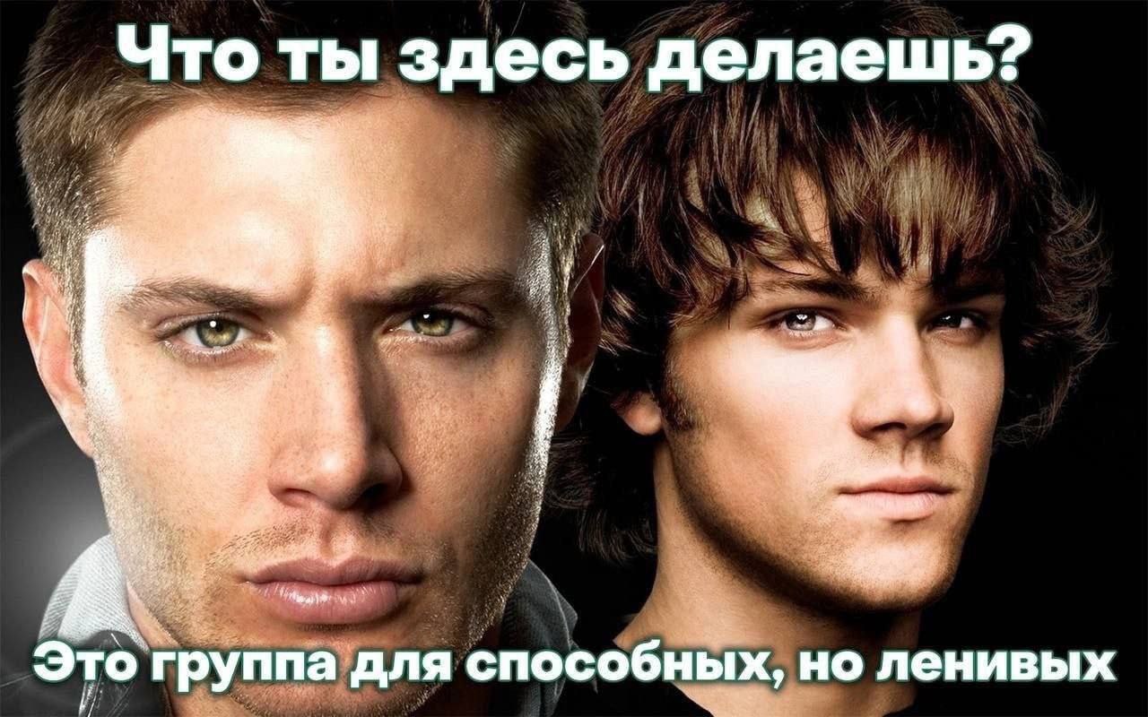 Что ты здесь делаешь? К 9 о группа для способных, но ленивых