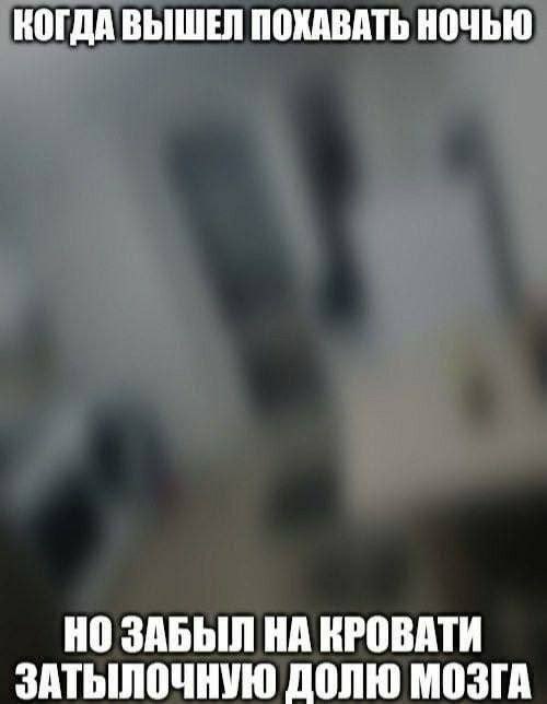 КОГДА ВЫШЕЛ ПОХАВАТЬ НОЧЬЮ НО ЗАБЫЛ НА КРОВАТИ ЗАТЫЛОЧНУЮ ДОЛЮ МОЗГА