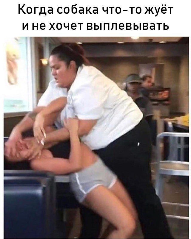 Когда собака что-то жуёт ине хочет выплевывать wth 7