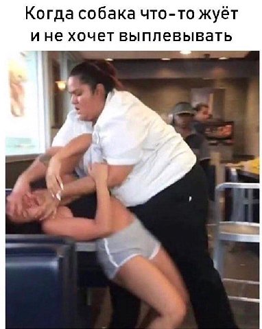 Когда собака что-то жуёт ине хочет выплевывать wth 7
