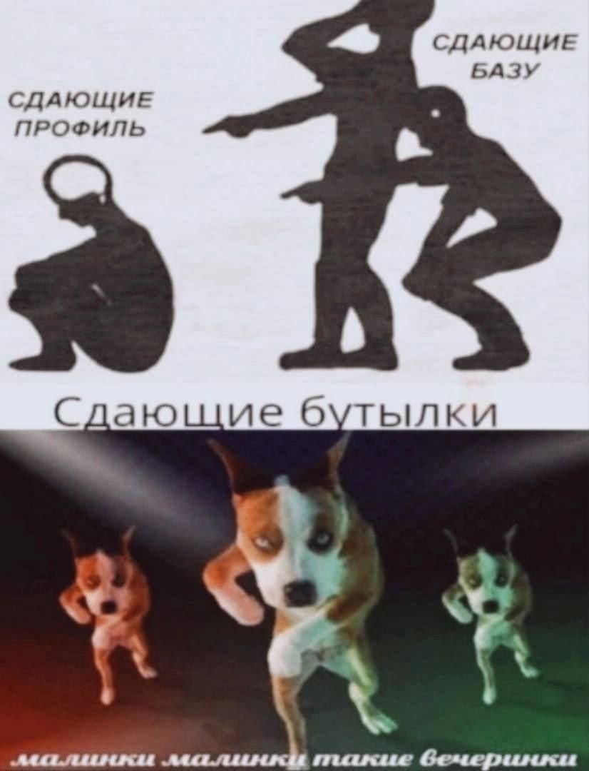 СДАЮЩИЕ БАЗУ СДАЮЩИЕ ПРОФИЛЬ Сдающие бутылки manue