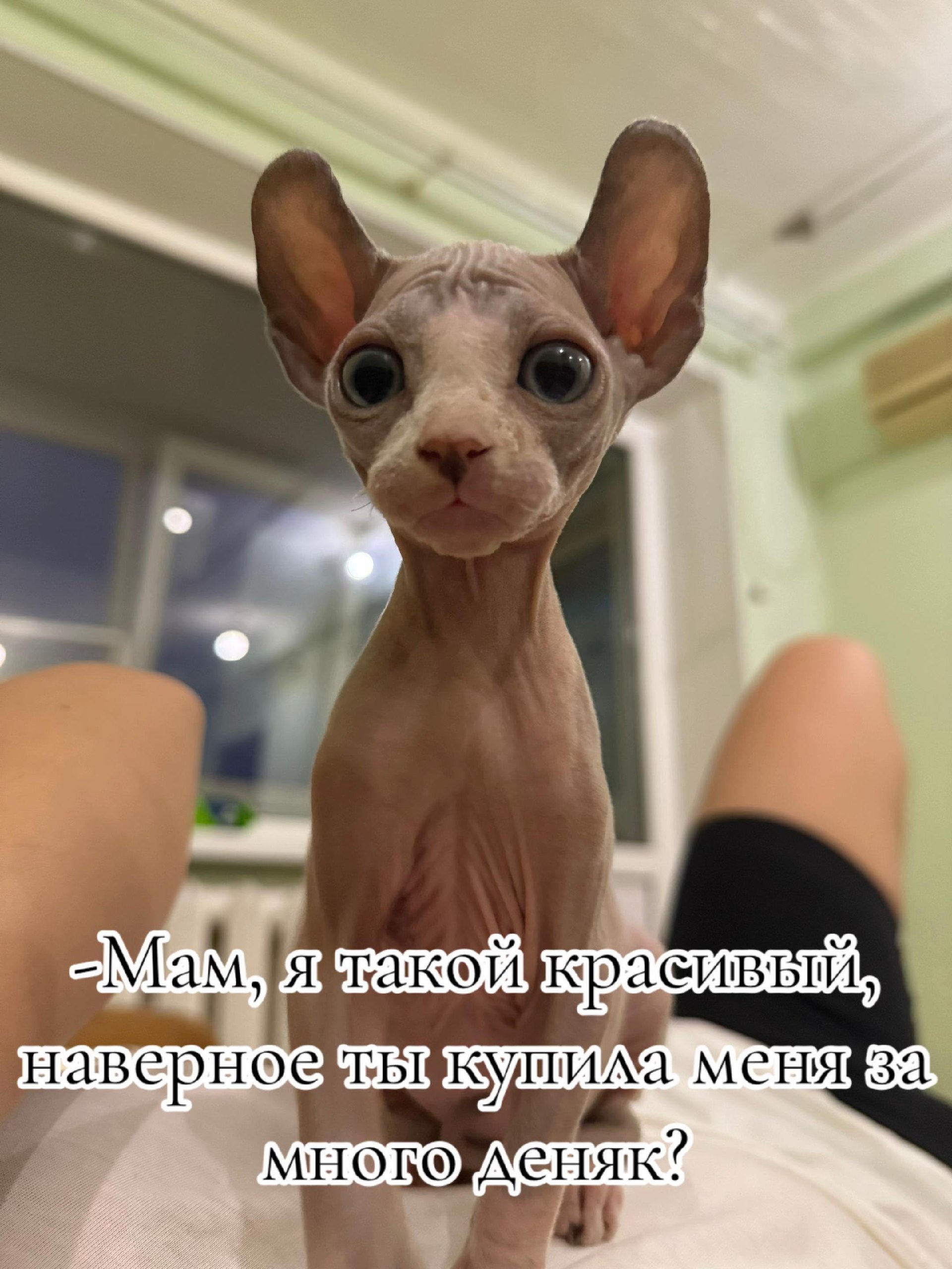 a наверное
